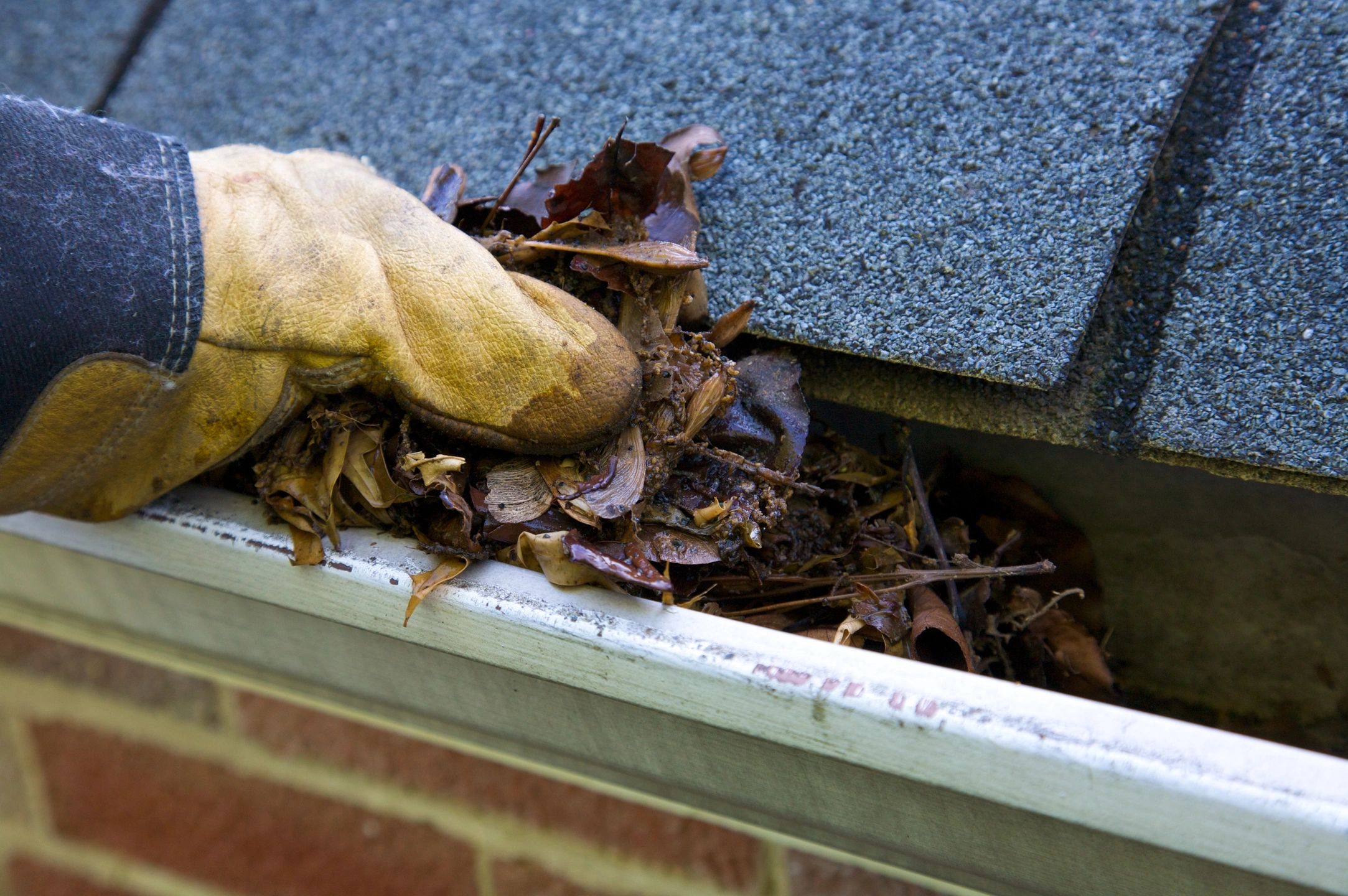 Gutter Cleaning in Boston and Metrowest MA
